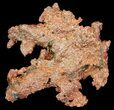 Natural, Native Copper Formation - Michigan #65256-1